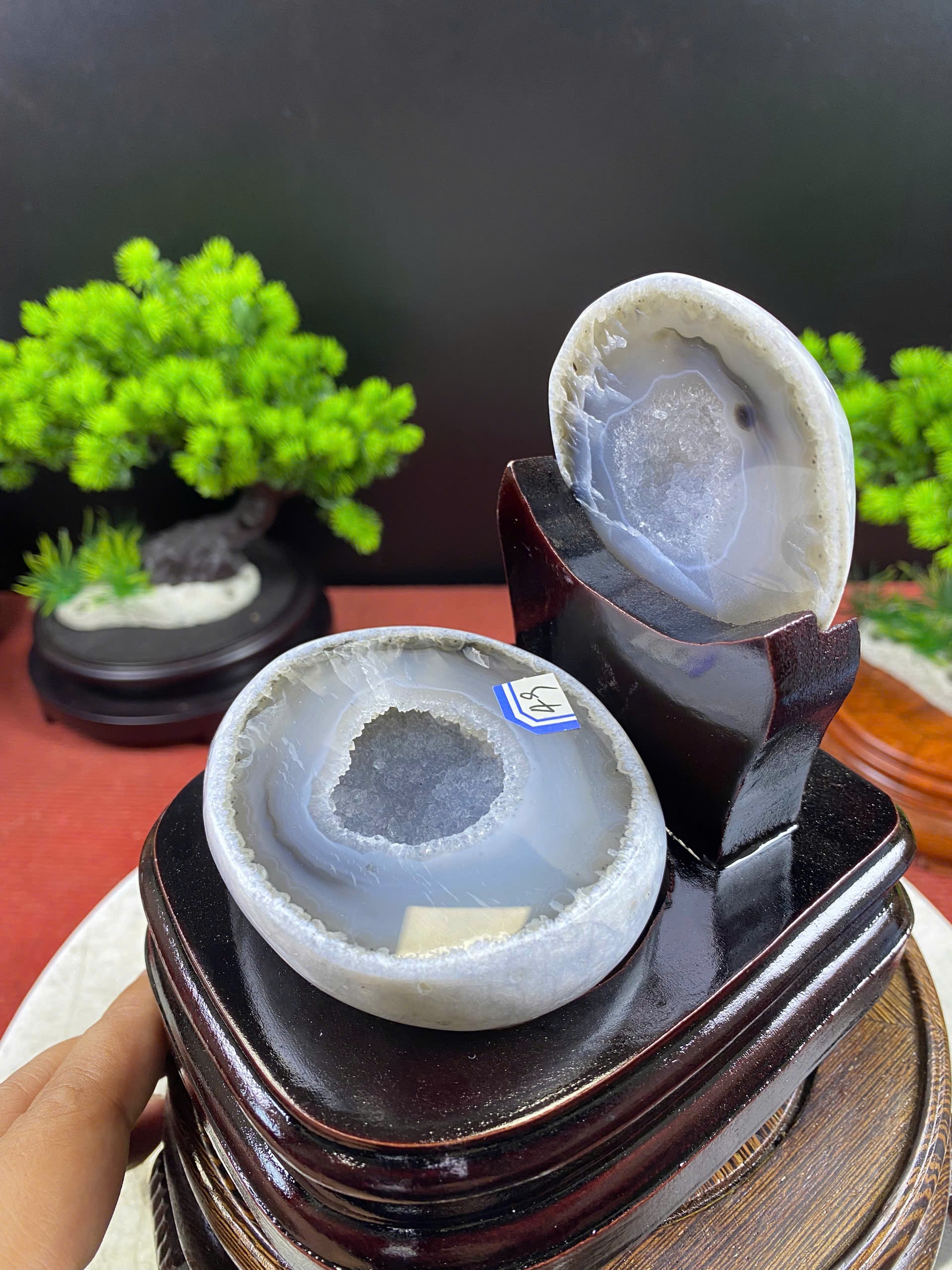 Bát tụ bảo
